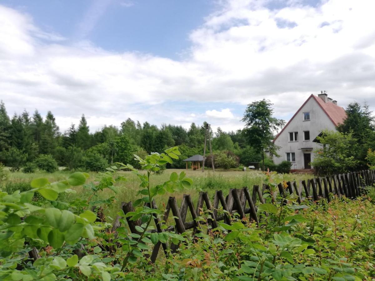 Agroturystyka Lesniczowka Wieckowo-Noclegi Janowo  Exterior photo